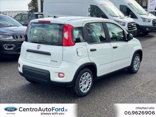 FIAT Panda 1.0 FireFly S&S Hybrid 6