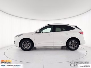 FORD Kuga 1.5 ecoblue st-line x 2wd 120cv auto 2