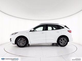 FORD Kuga 1.5 ecoblue st-line 2wd 120cv 2