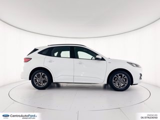 FORD Kuga 2.5 full hybrid st-line 2wd 190cv cvt 4