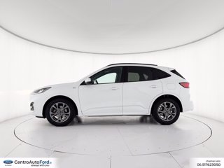 FORD Kuga 2.5 full hybrid st-line awd 190cv cvt 2