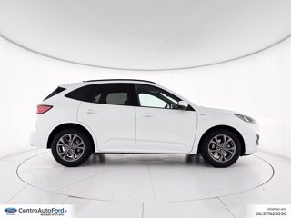 FORD Kuga 2.5 full hybrid st-line awd 190cv cvt 4