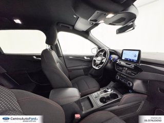 FORD Kuga 1.5 ecoblue st-line 2wd 120cv auto 5