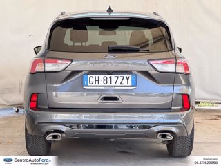 FORD Kuga 1.5 ecoblue st-line 2wd 120cv 3