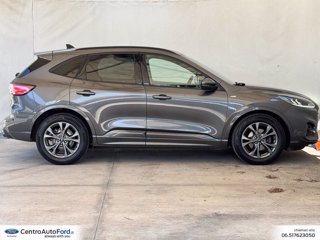 FORD Kuga 1.5 ecoblue st-line 2wd 120cv 4