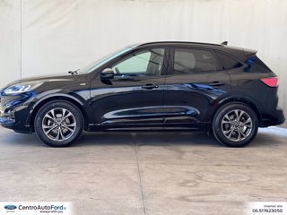 FORD Kuga 1.5 ecoblue st-line 2wd 120cv auto 2