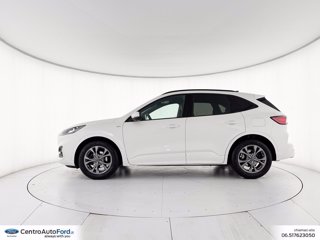 FORD Kuga 1.5 ecoblue st-line x 2wd 120cv auto 2