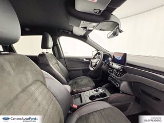 FORD Kuga 1.5 ecoblue st-line x 2wd 120cv auto 5