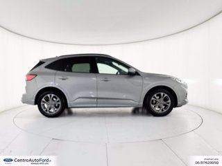 FORD Kuga 1.5 ecoblue st-line x 2wd 120cv auto 4