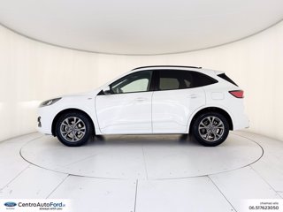 FORD Kuga 1.5 ecoblue st-line 2wd 120cv auto 2