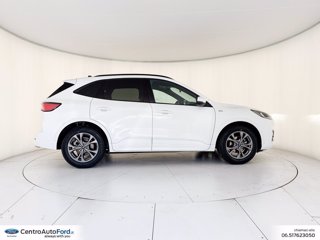 FORD Kuga 1.5 ecoblue st-line 2wd 120cv auto 4