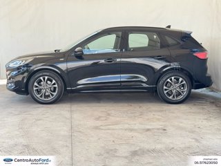 FORD Kuga 1.5 ecoblue st-line 2wd 120cv 2