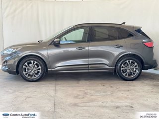 FORD Kuga 1.5 ecoblue st-line 2wd 120cv auto 2