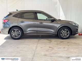 FORD Kuga 1.5 ecoblue st-line 2wd 120cv 4