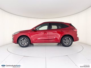 FORD Kuga 2.0 ecoblue st-line x awd 150cv auto 2