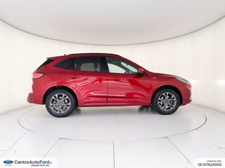 FORD Kuga 2.0 ecoblue st-line x awd 150cv auto 4