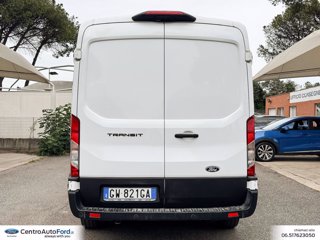 FORD Transit 350 fwd 2.0 ecoblue 165cv trend l3h2 3