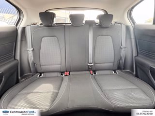FORD Focus 1.5 ecoblue business co-pilot s&s 120cv auto my20.75 8