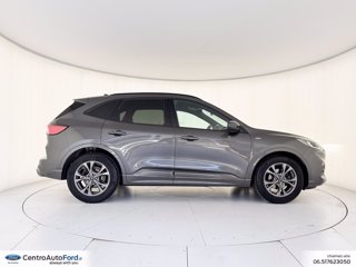 FORD Kuga 1.5 ecoblue st-line 2wd 120cv 4