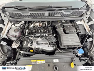 VOLKSWAGEN Caddy cargo maxi 2.0 tdi 102cv business my24 9