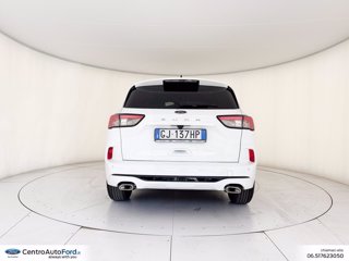 FORD Kuga 1.5 ecoblue st-line 2wd 120cv auto 5