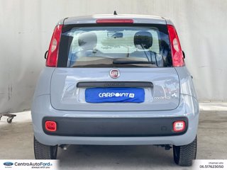 FIAT Panda 1.0 firefly hybrid city life s&s 70cv 3