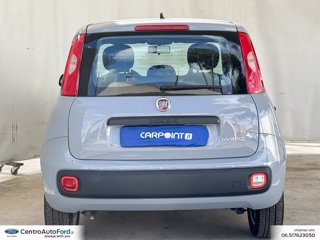 FIAT Panda 1.0 firefly hybrid city life s&s 70cv 3