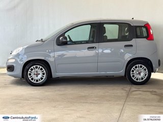 FIAT Panda 1.0 firefly hybrid s&s 70cv 5p.ti 2