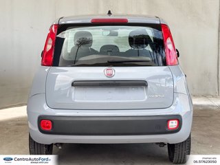 FIAT Panda 1.0 firefly hybrid s&s 70cv 5p.ti 3