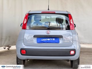 FIAT Panda 1.0 firefly hybrid city life s&s 70cv 3
