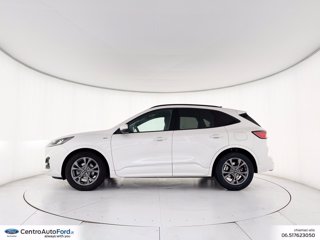 FORD Kuga 2.0 ecoblue mhev st-line 2wd 150cv 2