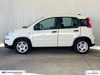 FIAT Panda 1.0 firefly hybrid s&s 70cv 2