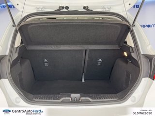 FORD Fiesta 5p 1.1 titanium gpl 75cv GPL 9