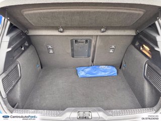 FORD Focus 1.0t ecoboost h st-line x 155cv powershift 9