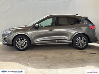 FORD Kuga 1.5 ecoblue st-line 2wd 120cv auto 2