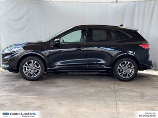 FORD Kuga 2.5 phev st-line 2wd 225cv cvt 2