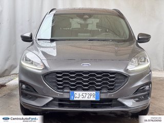 FORD Kuga 1.5 ecoblue st-line 2wd 120cv 1