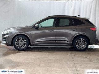 FORD Kuga 1.5 ecoblue st-line 2wd 120cv 2