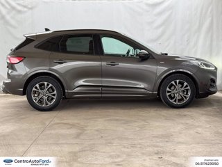 FORD Kuga 2.5 full hybrid st-line 2wd 190cv cvt 4