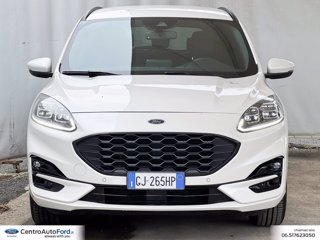 FORD Kuga 1.5 ecoblue st-line x 2wd 120cv auto 1