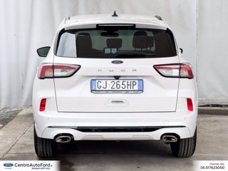 FORD Kuga 1.5 ecoblue st-line x 2wd 120cv auto 3