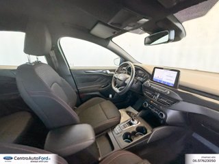 FORD Focus 1.5 ecoblue st-line co-pilot s&s 120cv auto 5