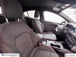 FORD Focus 1.0 ecoboost st-line co-pilot s&s 125cv auto 6