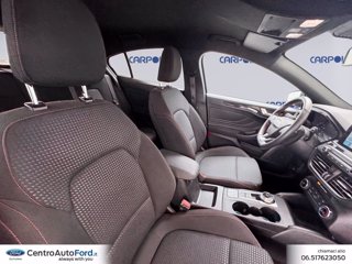 FORD Focus 1.0 ecoboost st-line co-pilot s&s 125cv auto 6