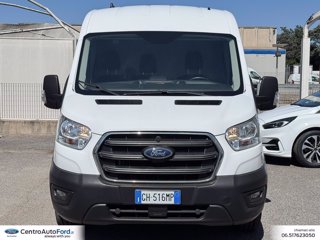 FORD Transit 330 2.0 tdci mhev 130cv trend l3h2 e6.2 1