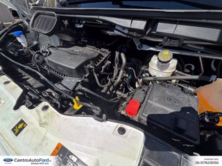 FORD Transit 330 2.0 tdci mhev 130cv trend l3h2 e6.2 9