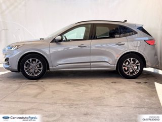 FORD Kuga 1.5 ecoblue st-line 2wd 120cv auto 2