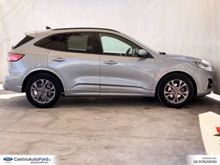 FORD Kuga 1.5 ecoblue st-line 2wd 120cv auto 4