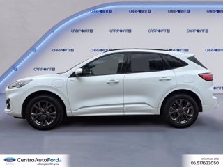 FORD Kuga 2.5 phev st-line 2wd 225cv cvt 1