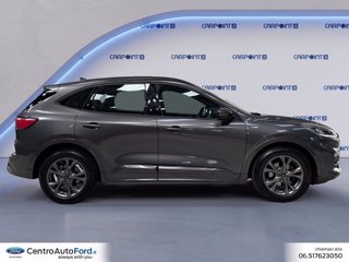 FORD Kuga 1.5 ecoblue st-line 2wd 120cv auto 5